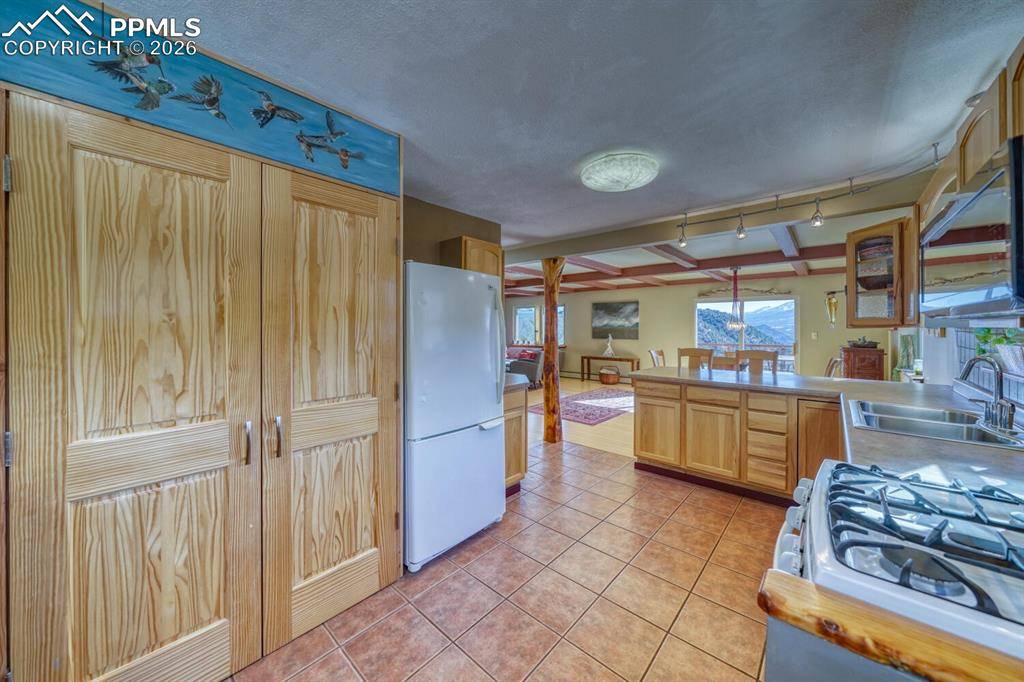 4351 County Road 12, Cotopaxi, CO 81223
