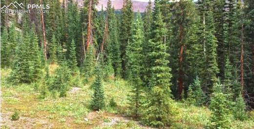 765.2A, Almont, CO 81210