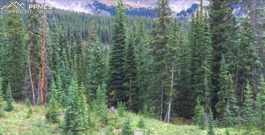 765.2A, Almont, CO 81210