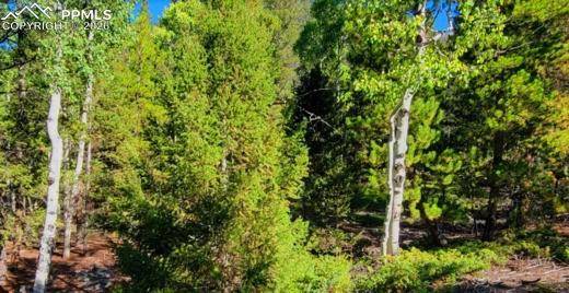 765.2A, Almont, CO 81210