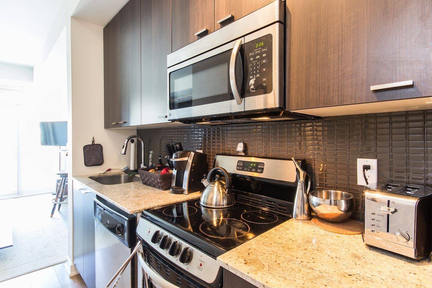 Toronto C01, ON M5V 0A9,78 Tecumseth ST N #1608