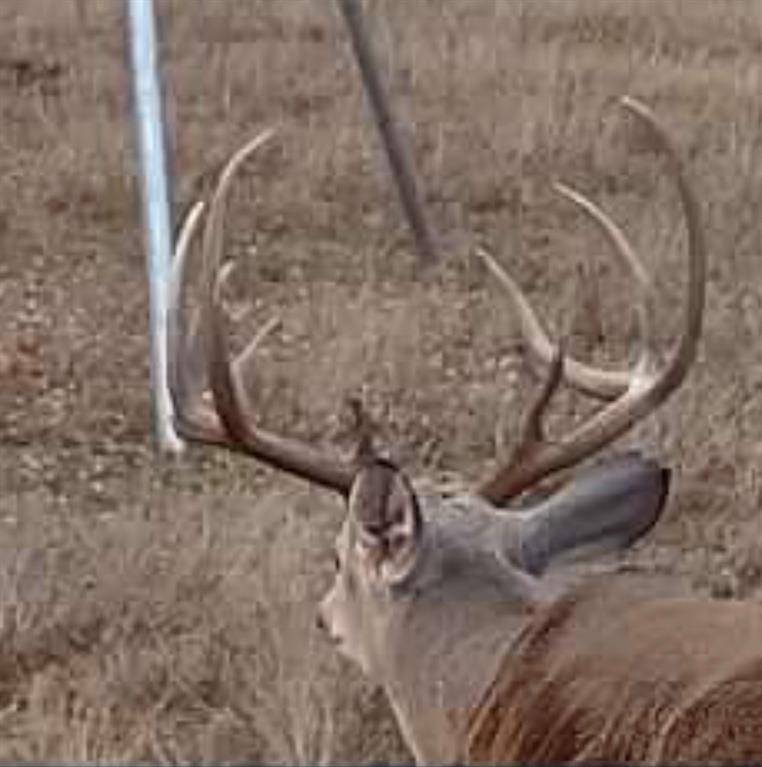 73 TBD FM, Coolidge, TX 76678