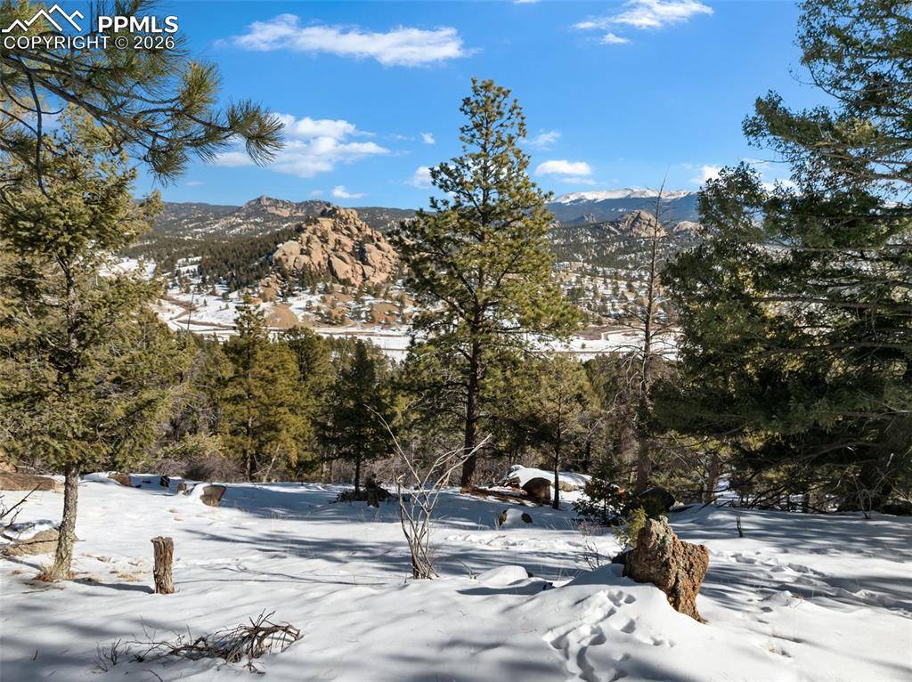 Conifer CIR, Florissant, CO 80816