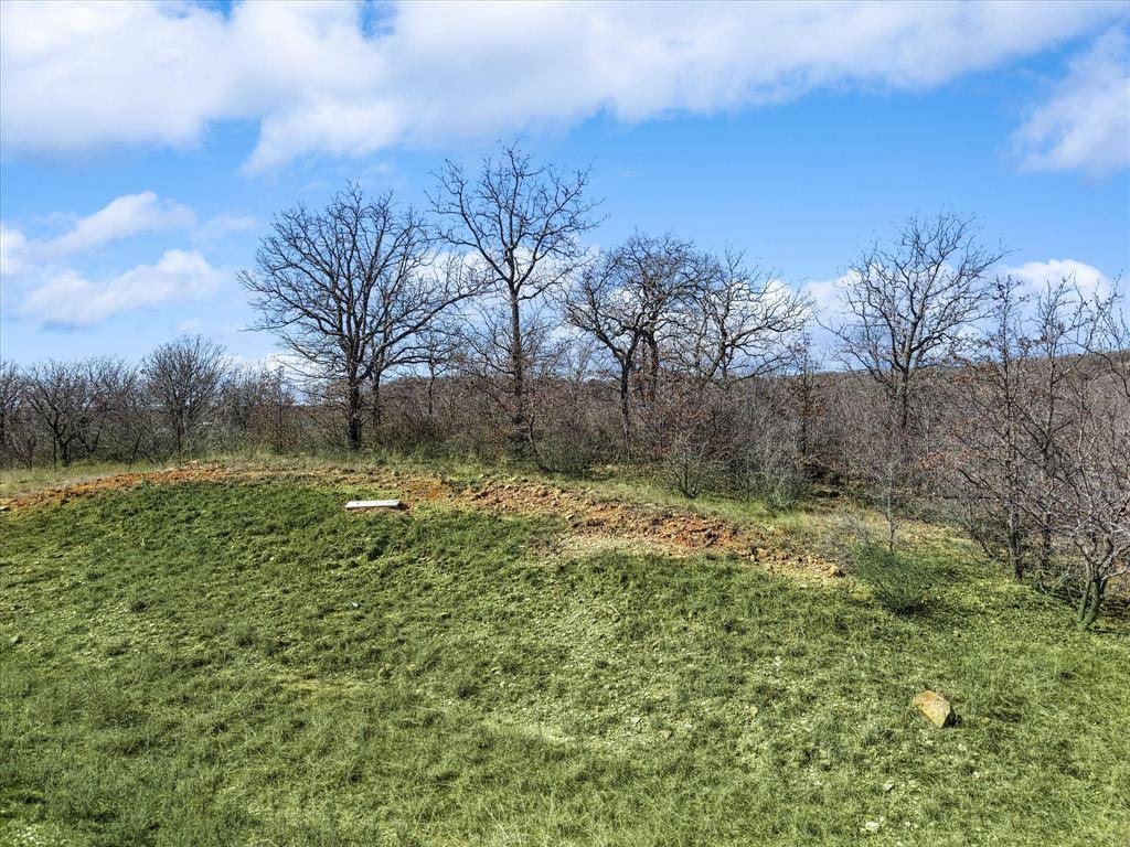 Chico, TX 76431,Lot 399 Sunset Bay Drive