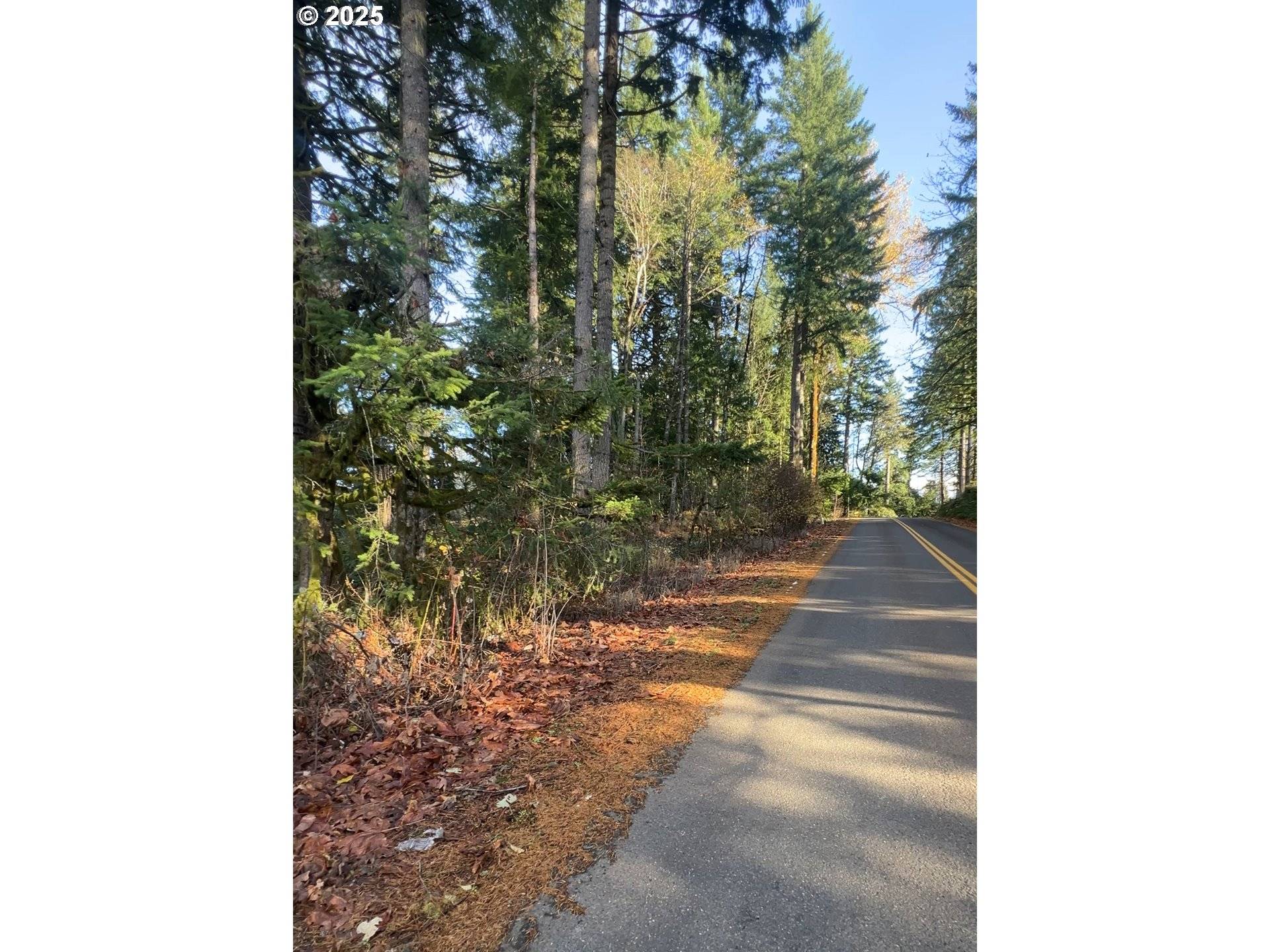 E LARCH MOUNTAIN RD, Corbett, OR 97019