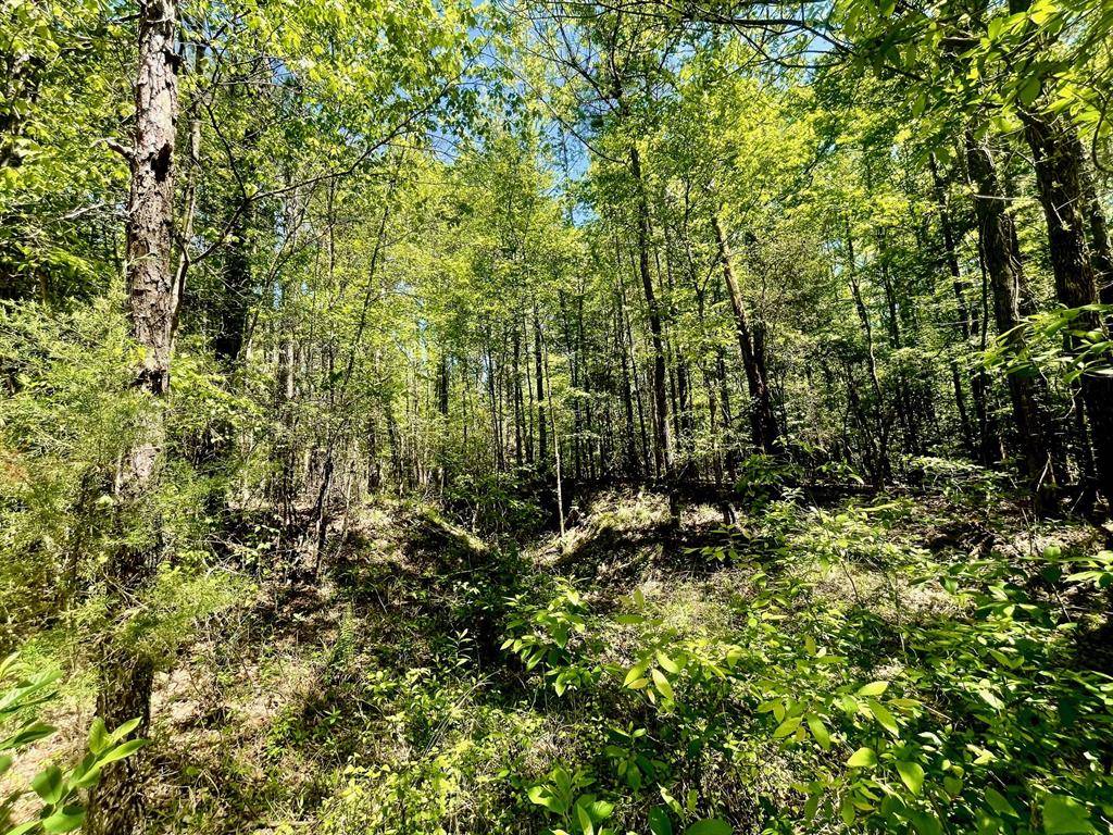 Minden, LA 71055,889 Fuller Cemetery E-5 Road