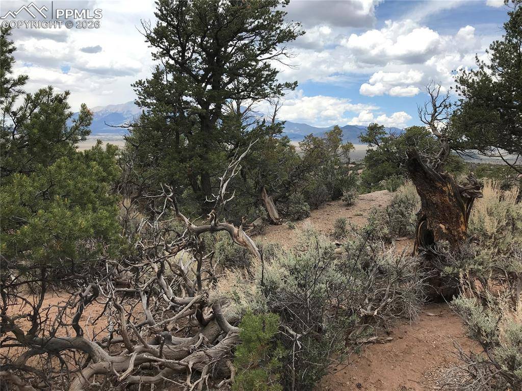 111 Mitchell RD, Fort Garland, CO 81133