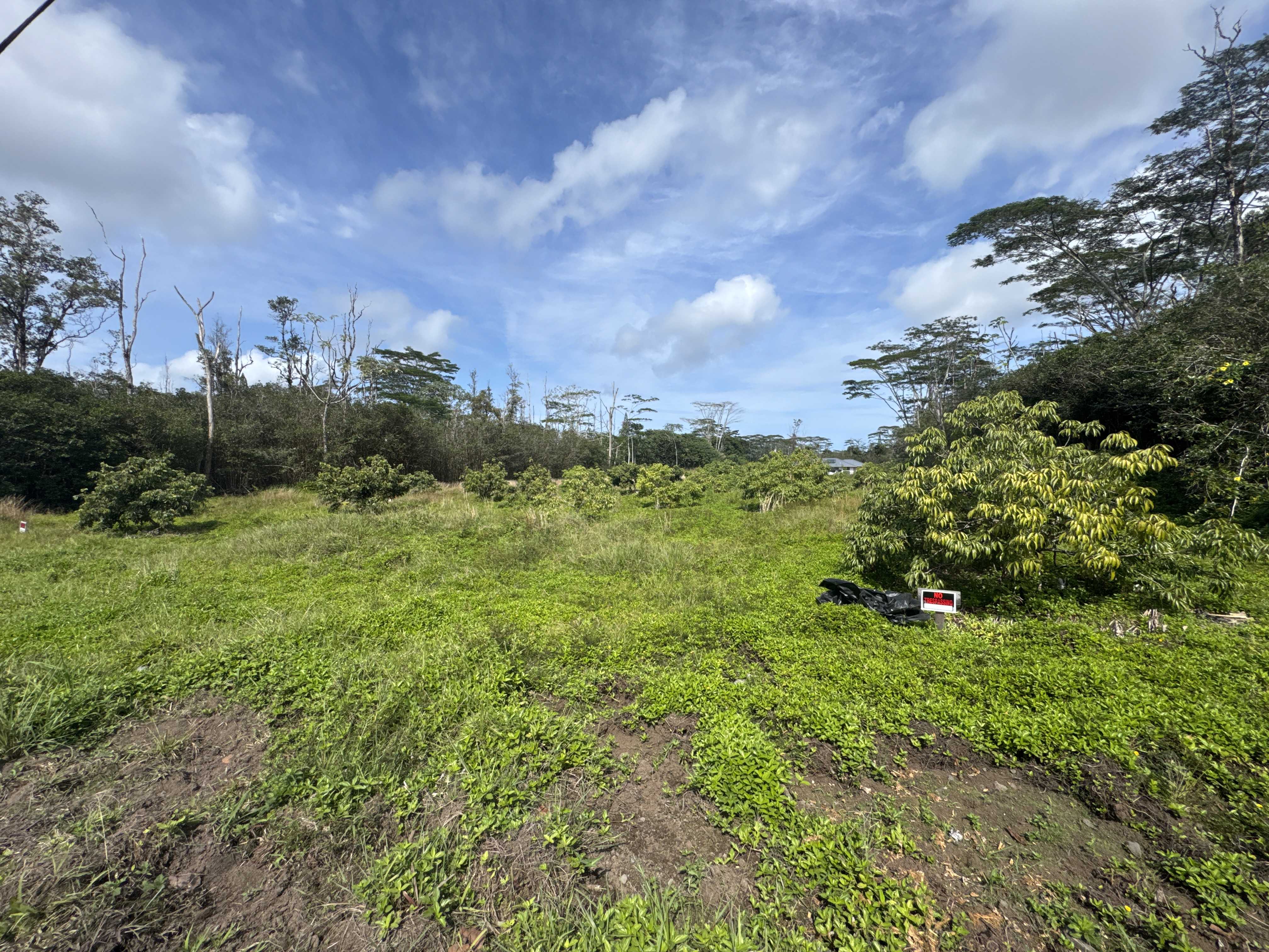 28TH AVE, Keaau, HI 96749