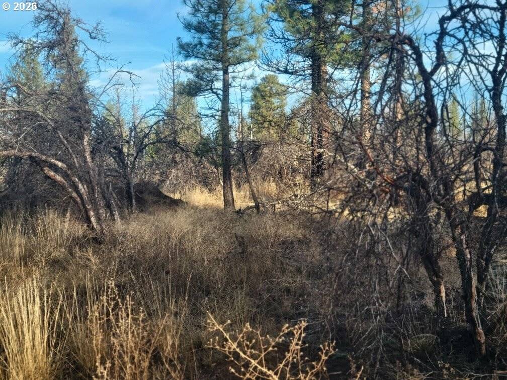 Block 106 #2, Bonanza, OR 97623