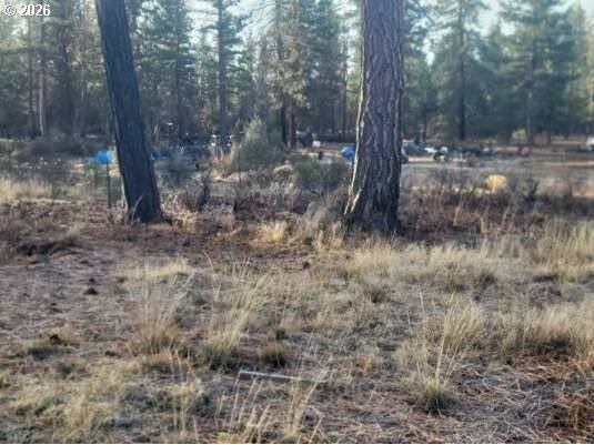 Block 106 #2, Bonanza, OR 97623