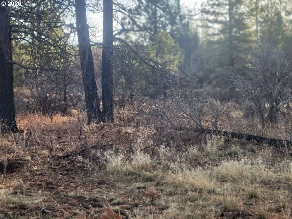 Block 106 #2, Bonanza, OR 97623