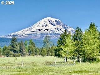 1684 BZ GLENWOOD HWY, Glenwood, WA 98619