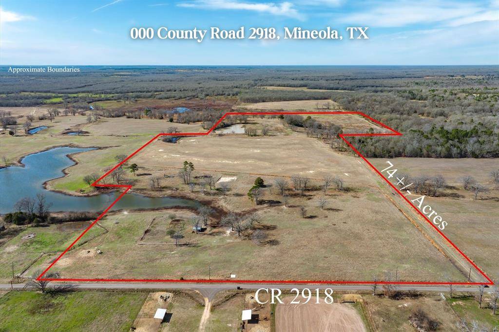 Mineola, TX 75773,000 County Road 2918