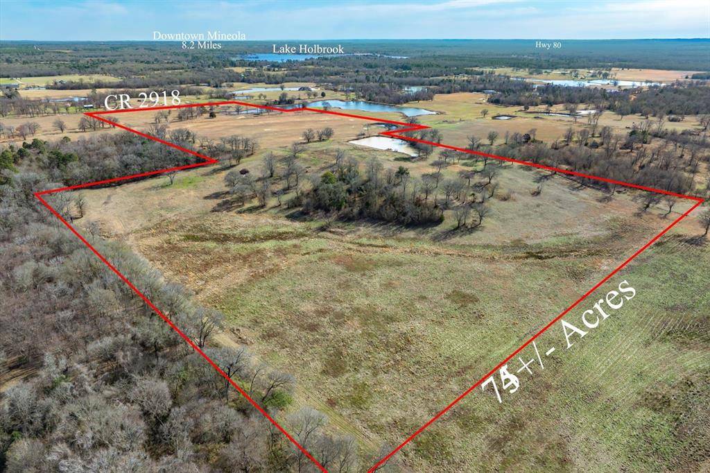 Mineola, TX 75773,000 County Road 2918