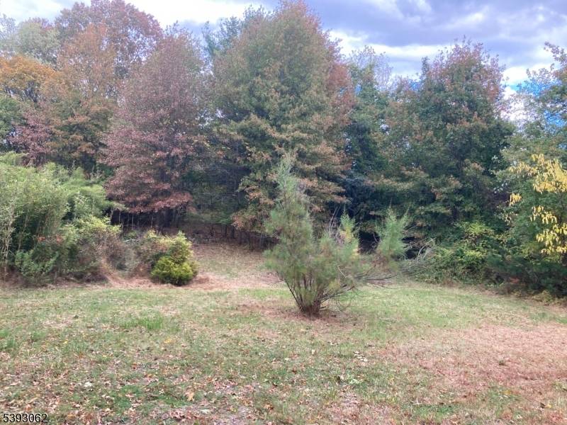 Readington Twp., NJ 08889,11 Kline Blvd