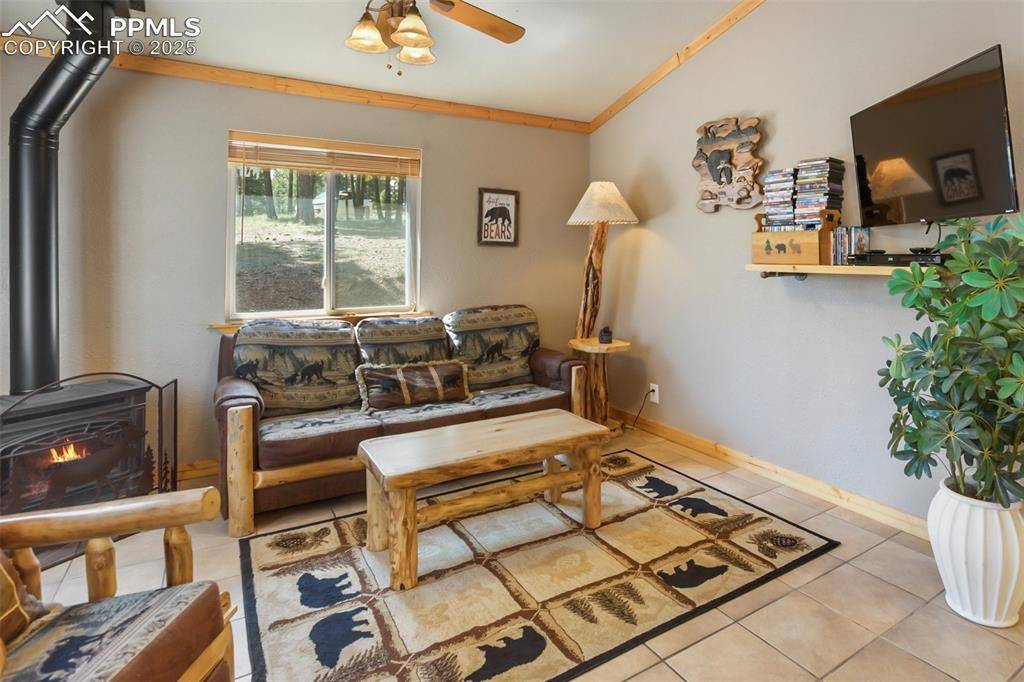 31 Handcart CIR, Florissant, CO 80816