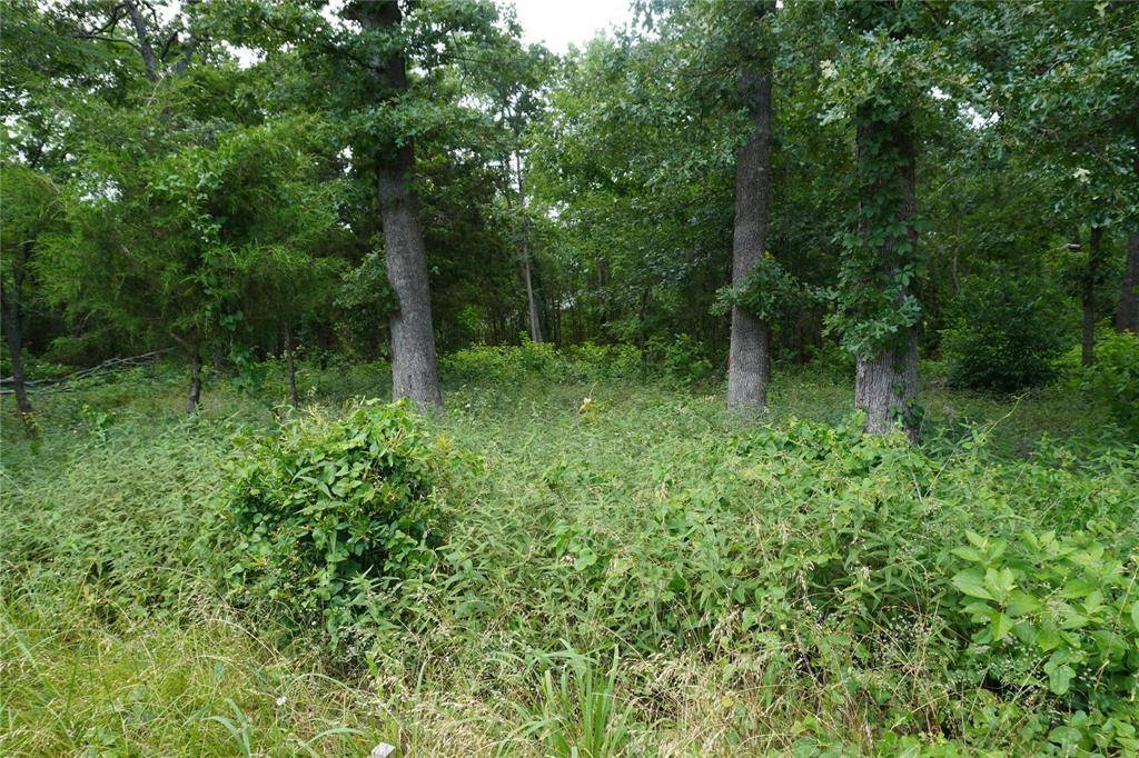 Sulphur Springs, TX 75482,Lot 37 Nicklaus Drive