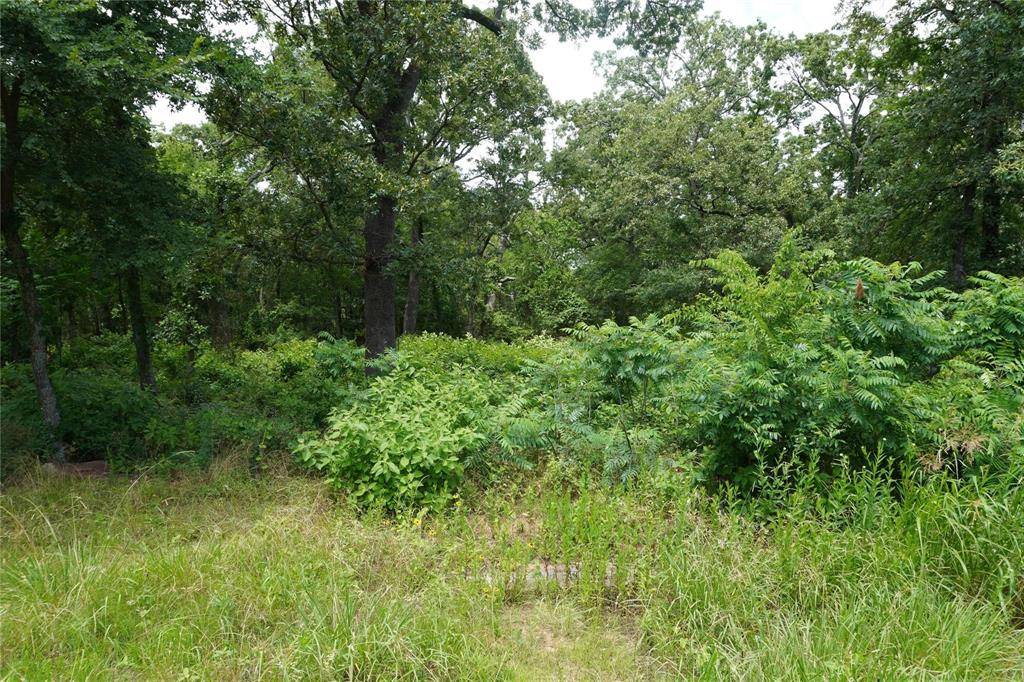 Sulphur Springs, TX 75482,Lot 37 Nicklaus Drive