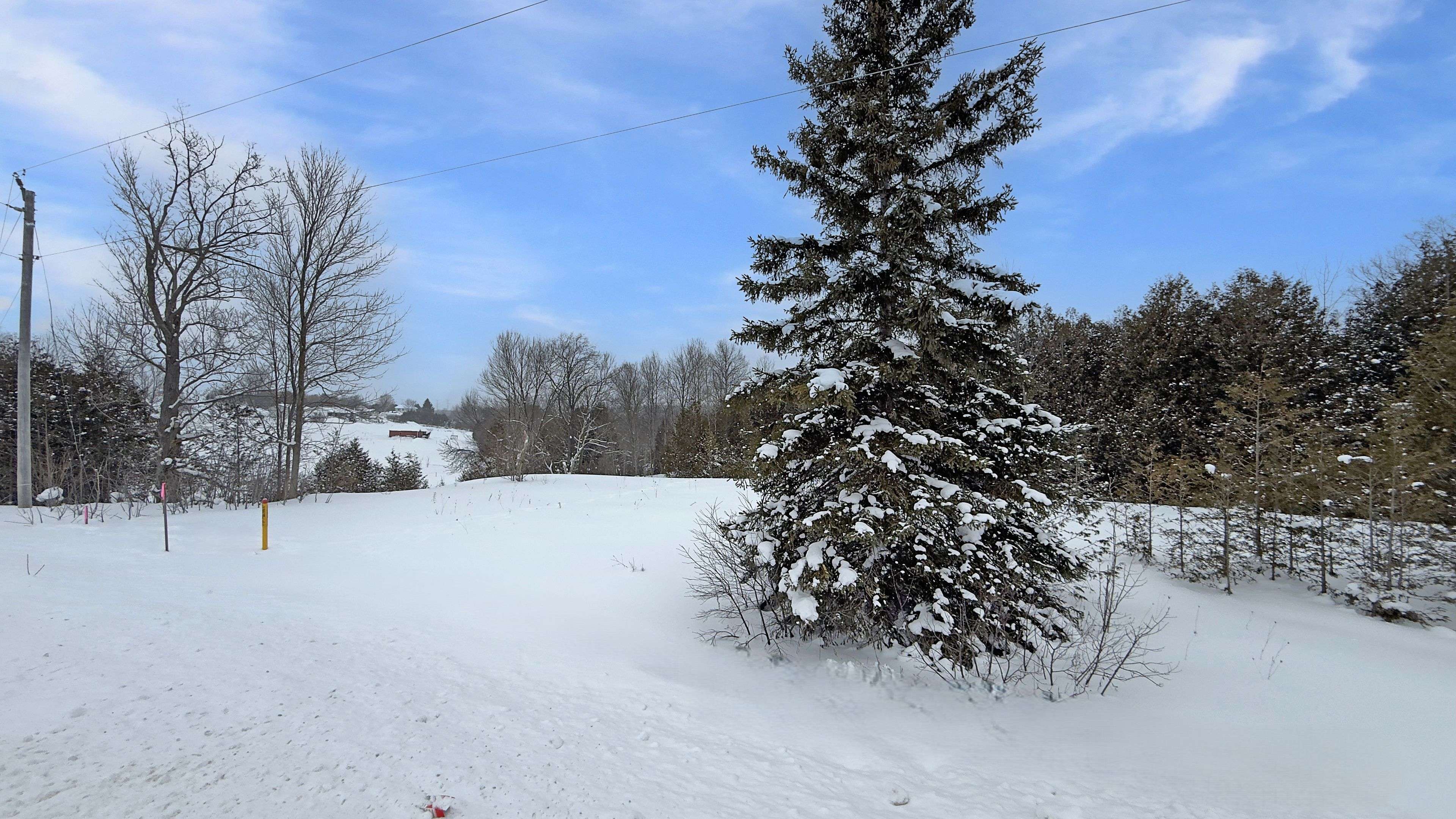 West Grey, ON N4N 3B8,401619 Grey Road 4 N/A