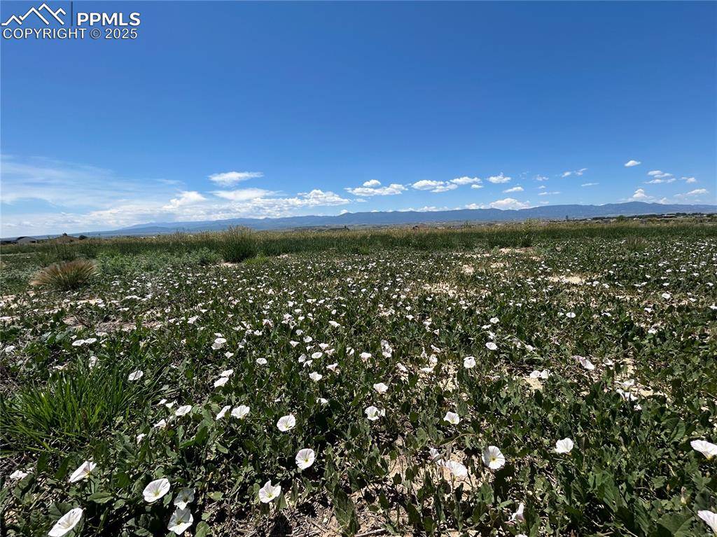 83 Top Rail TRL, Penrose, CO 81240