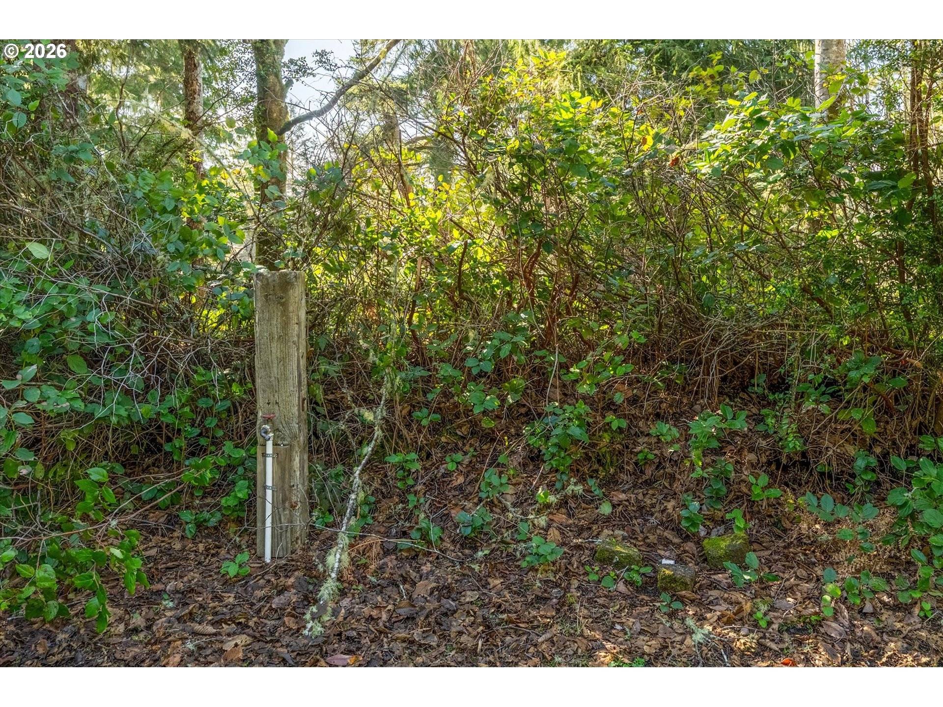 21329 BIRCH PL, Ocean Park, WA 98640