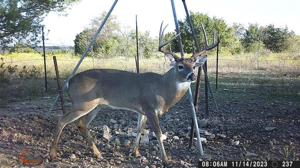 TBD CR 382, Carlton, TX 76436