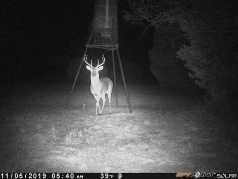 TBD County Road 382, Carlton, TX 76436