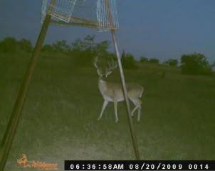 TBD County Road 382, Carlton, TX 76436