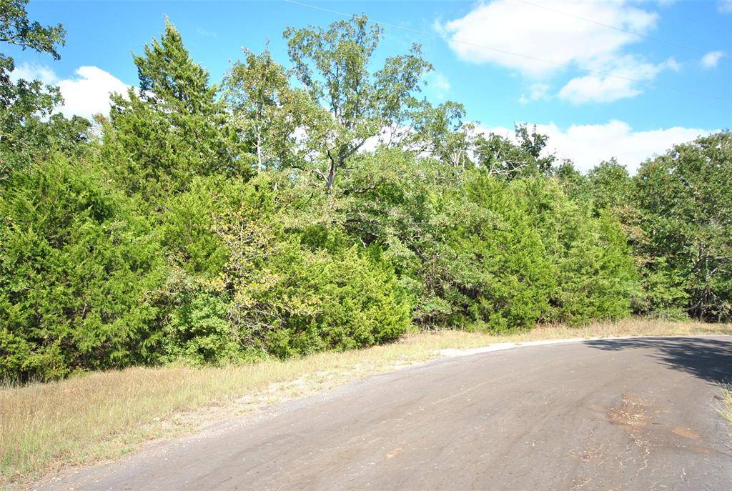 Lot 24 LCR 910 Drive, Jewett, TX 75846