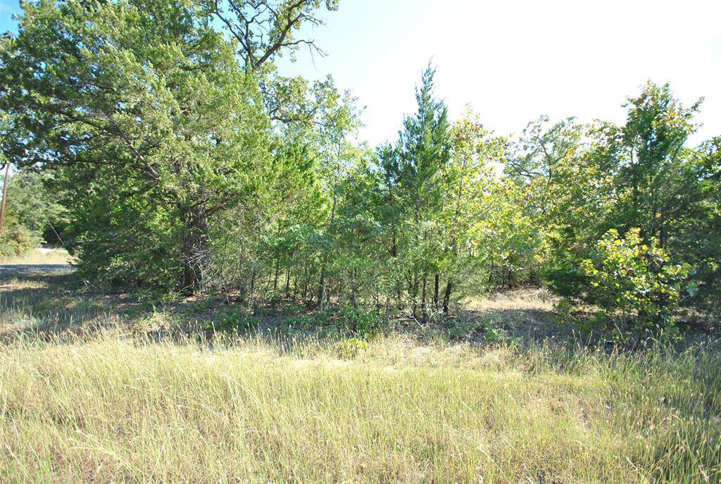 Lot 24 LCR 910 Drive, Jewett, TX 75846