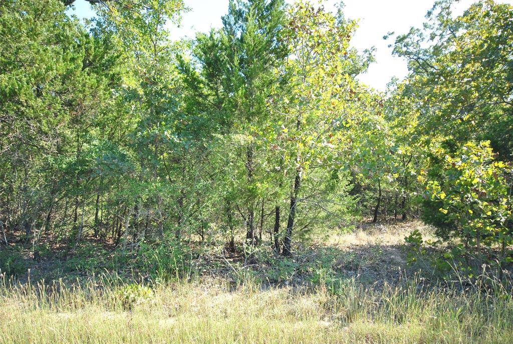 Lot 77 LCR 894 Drive, Jewett, TX 75846