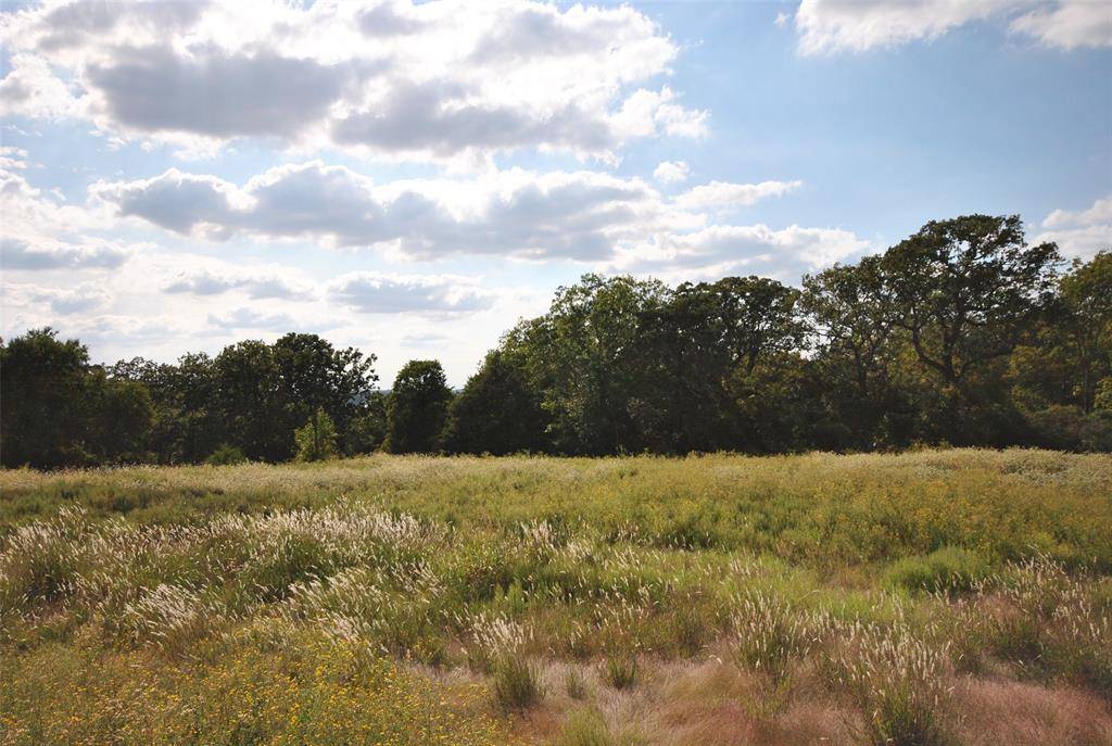 Lot 22 LCR 910 Drive, Jewett, TX 75846