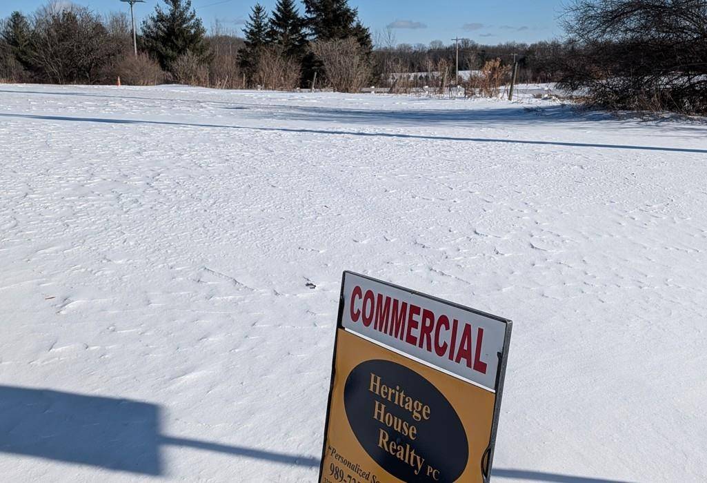 0 S M-65, Curtis Twp, MI 48737