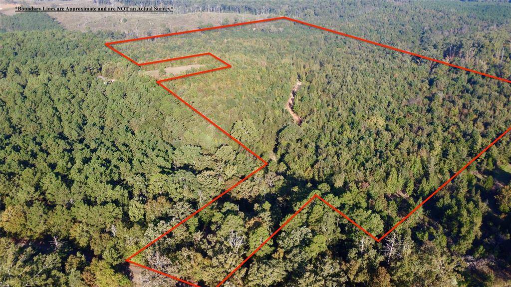 TBD CR 1579-1, Avinger, TX 75630