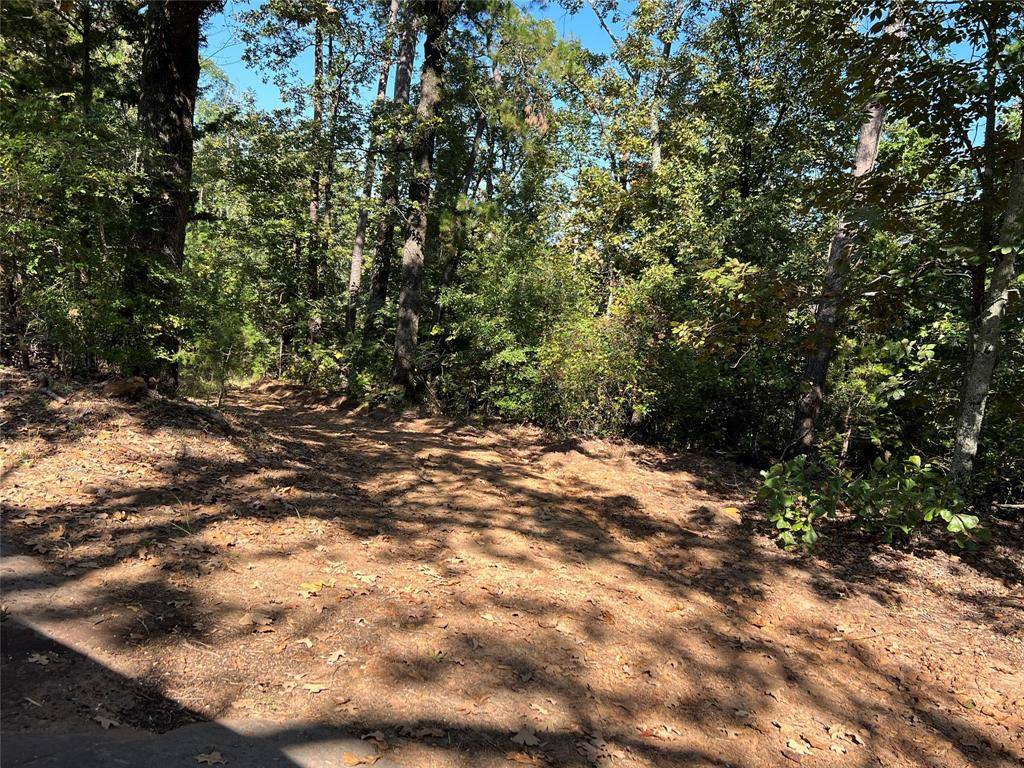 TBD CR 1579-1, Avinger, TX 75630