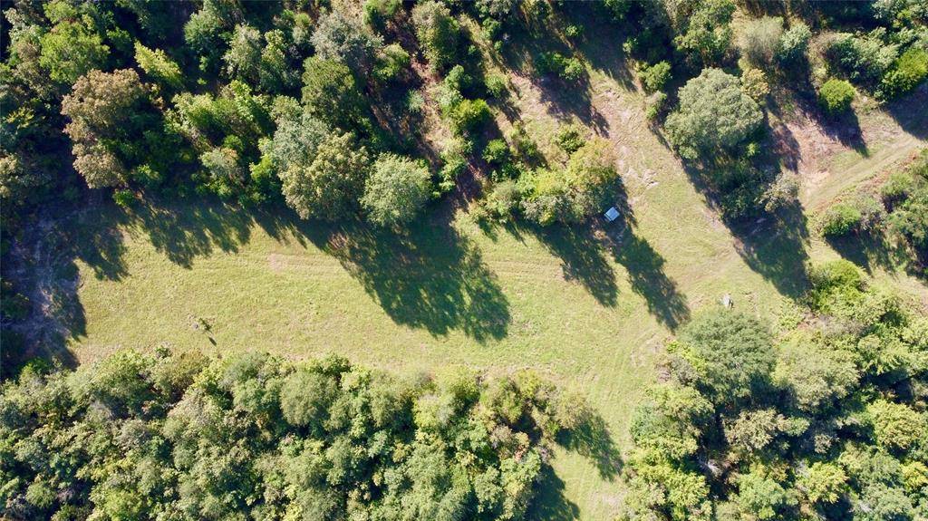 TBD CR 1579-2, Avinger, TX 75630