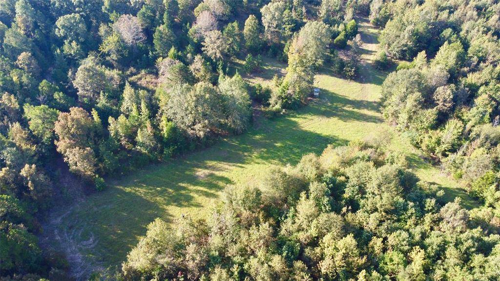 TBD CR 1579-2, Avinger, TX 75630