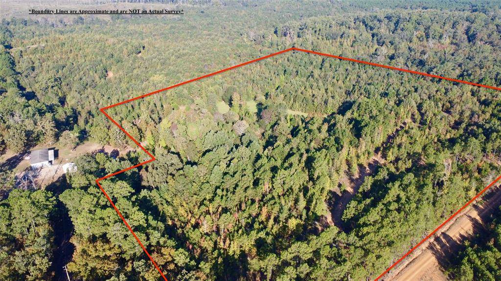 TBD CR 1579-2, Avinger, TX 75630