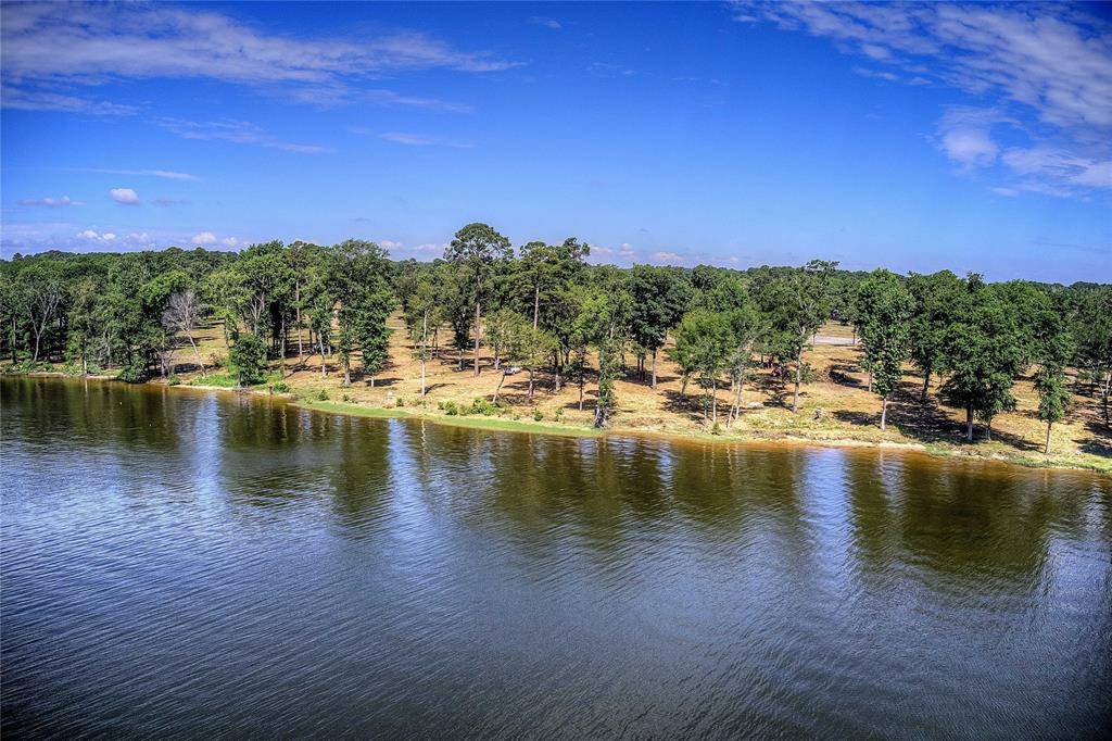 20609 Wycliff Drive, Chandler, TX 75758