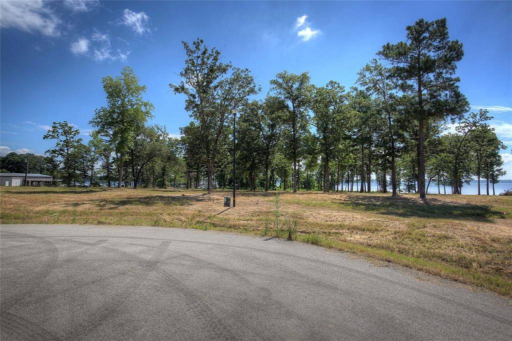 20609 Wycliff Drive, Chandler, TX 75758