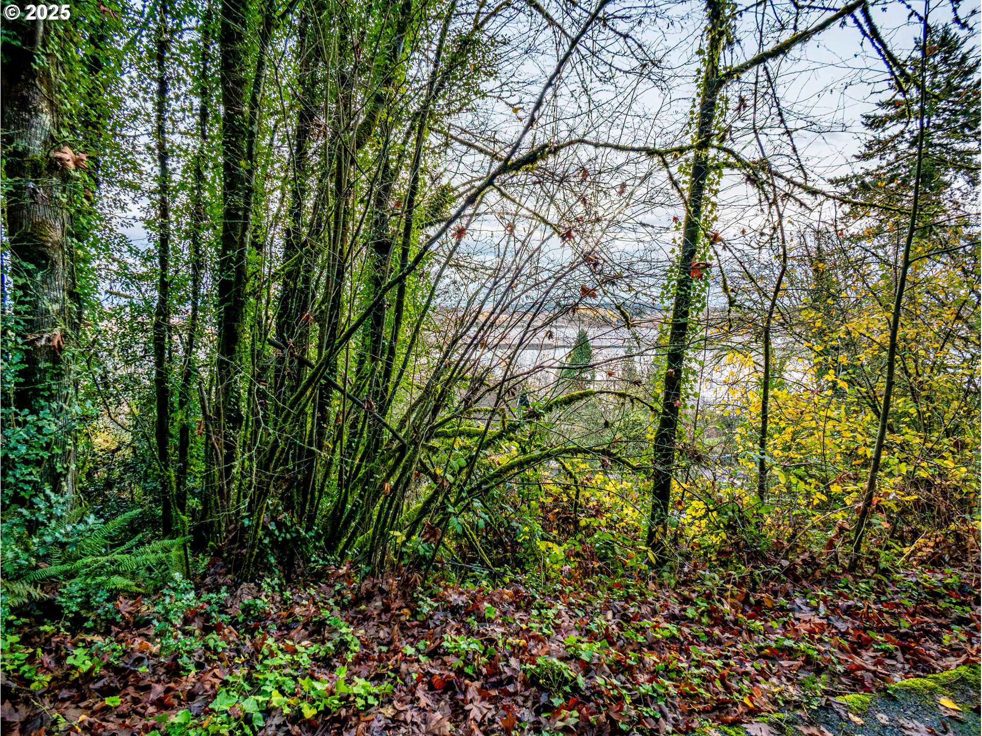 9991 NW WILARK AVE W #21&22, Portland, OR 97231