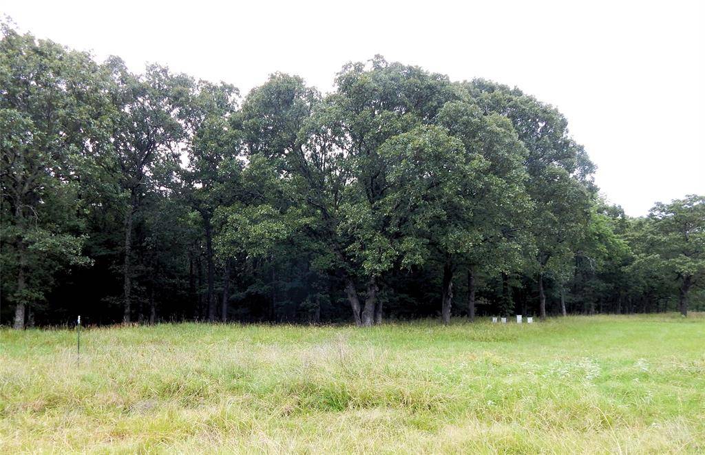 14 & 46 Lakeside Estates, Bagwell, TX 75412