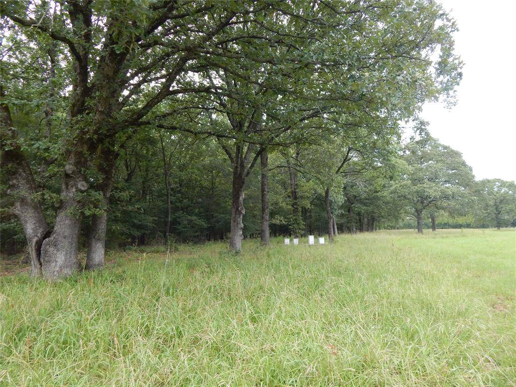 14 & 46 Lakeside Estates, Bagwell, TX 75412