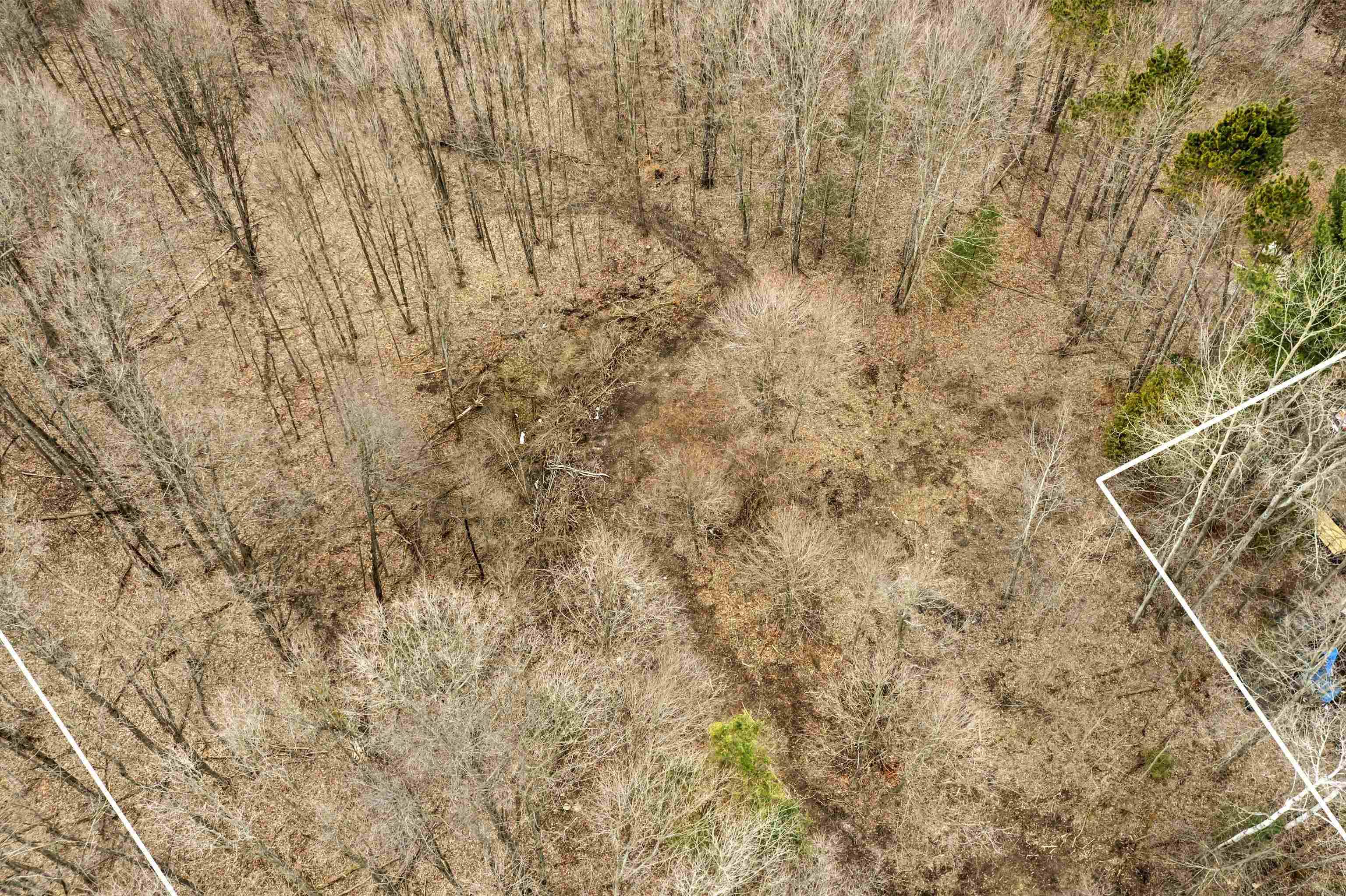 00 River ST, Benzonia Twp, MI 49616