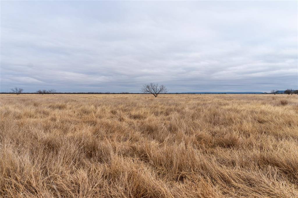 T5 County Road 204, Bradshaw, TX 79567