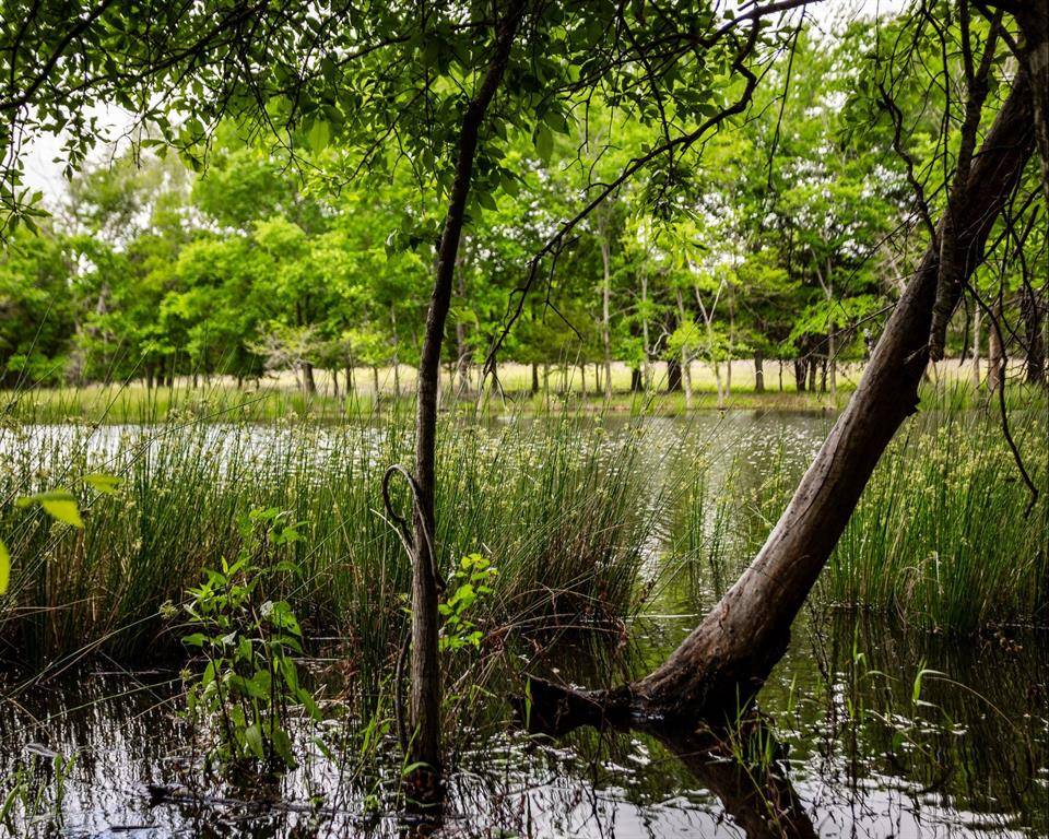 540 Vz County Road 2916, Eustace, TX 75124