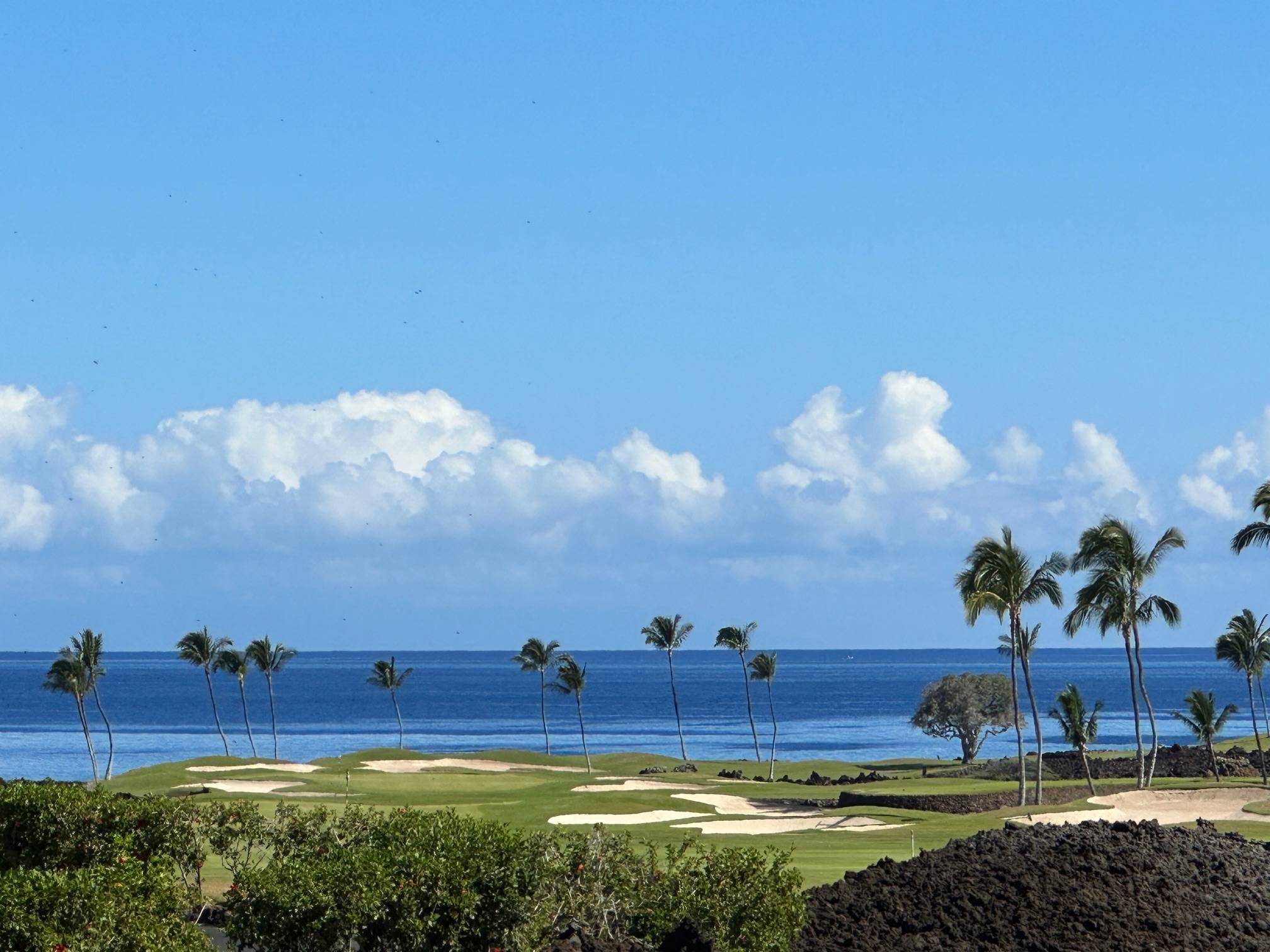 68-1051 HONOKAOPE WAY, Kamuela, HI 96743
