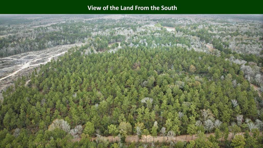 0 E PR 6150, Woodville, TX 75979