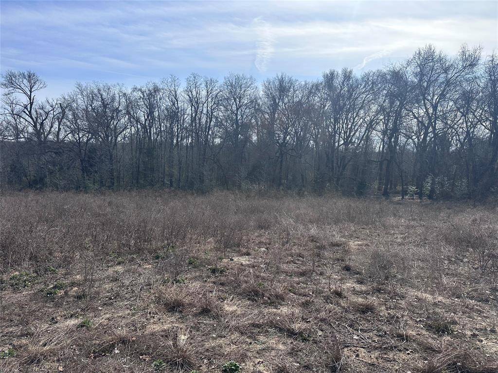 TBD Wooded Creek Drive, Athens, TX 75751
