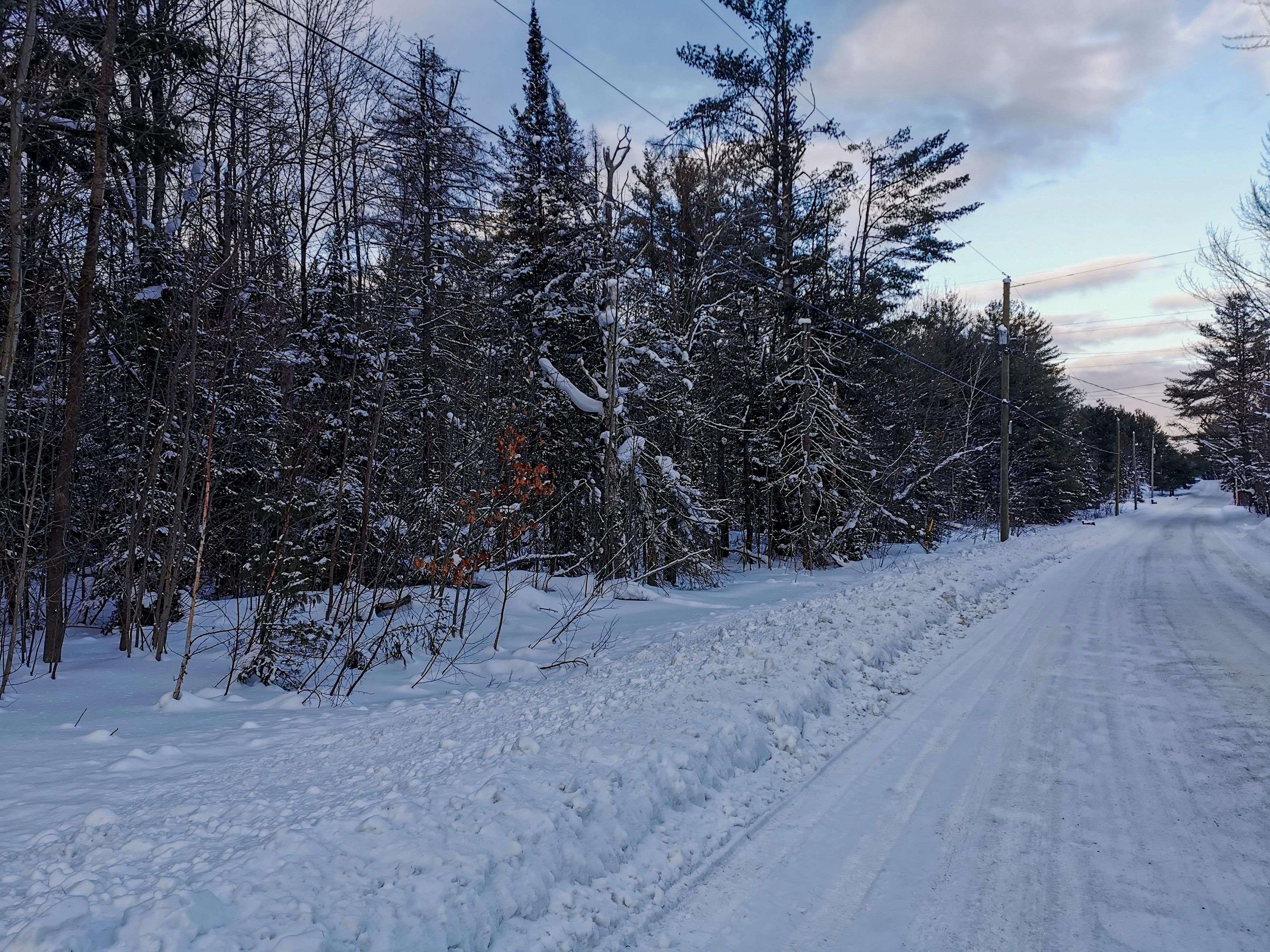 00 Germania RD, Bracebridge, ON P1P 1R3